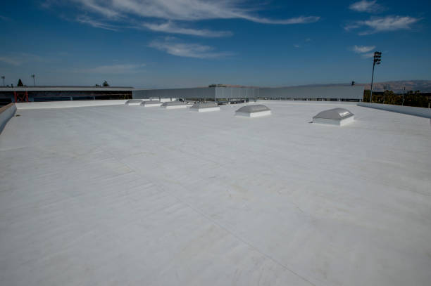 Best Roof Leak Repair  in Taylorsville, KY